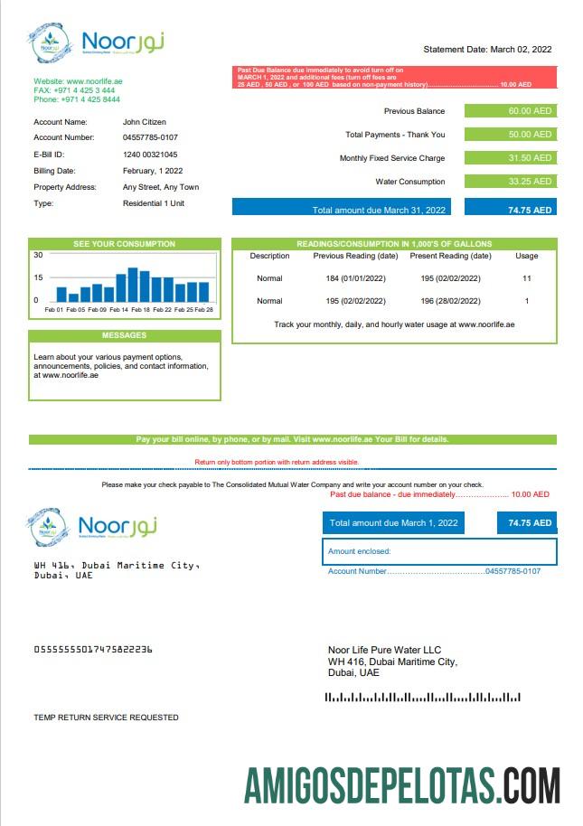 imprimível Modelo de conta de serviços públicos Noor Life Pure Water LLC dos Emirados Árabes Unidos em formato Word e PDF